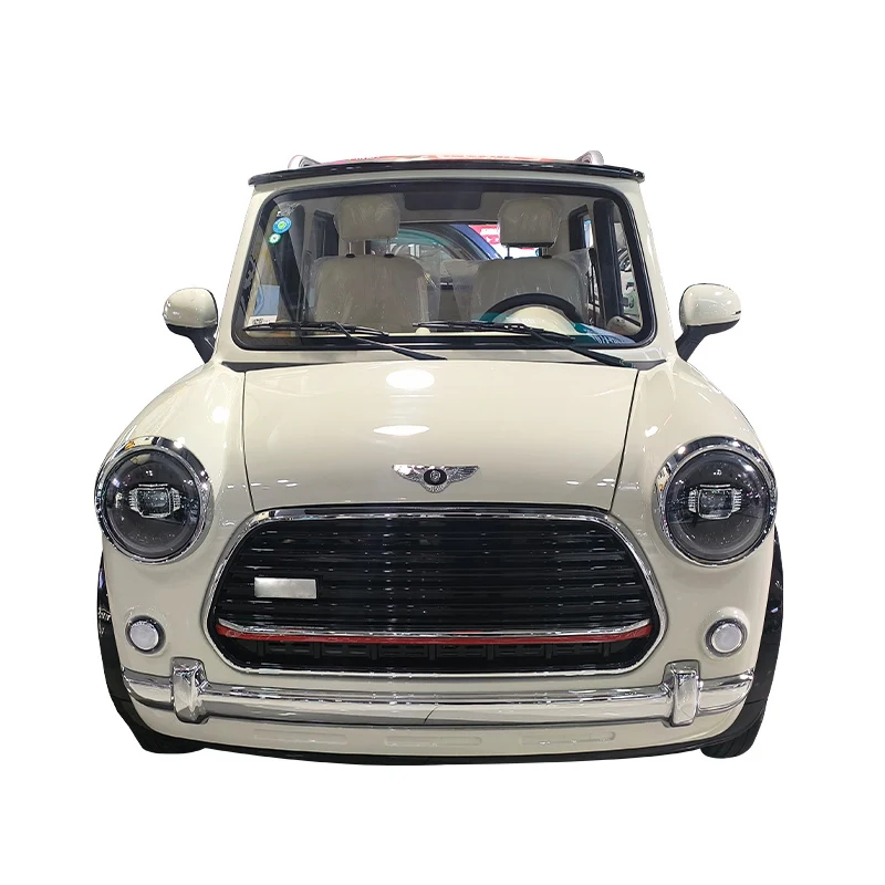 Wholesaler Price New Electric Car Fully Enclosed Cabin Passenger Four Wheel Car