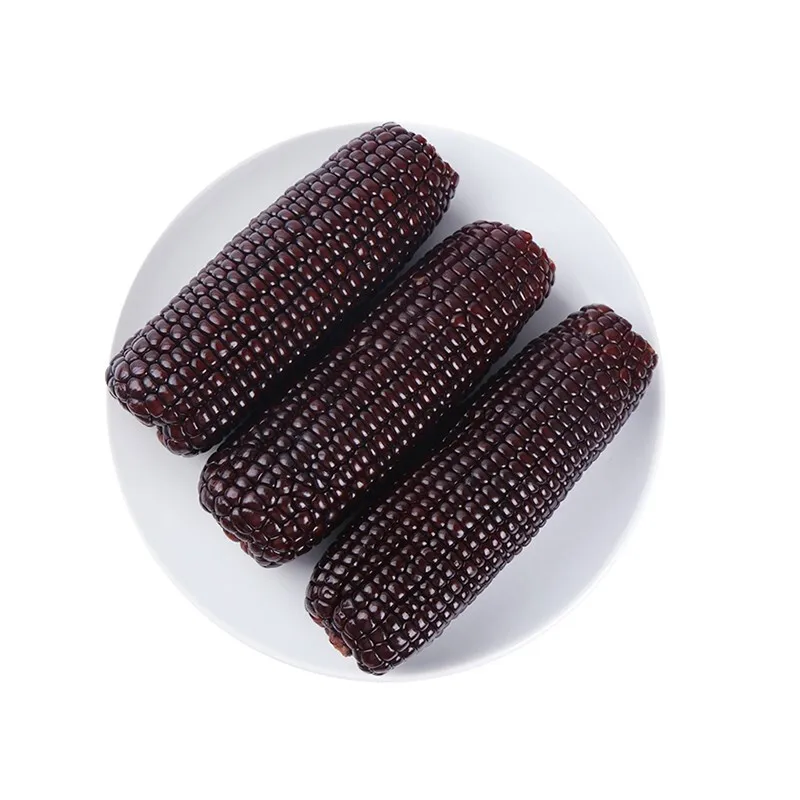 China factory sweet corn manufacturer fresh purple corn