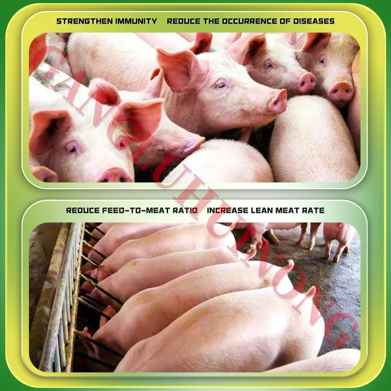 Pig growth promoter Pig fattening Pig intestinal health vitamin e multivitamins soluble powder