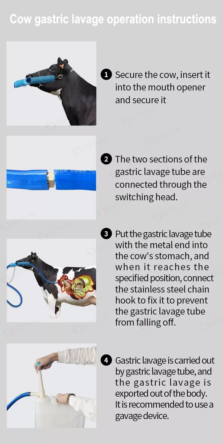 1-4.jpg