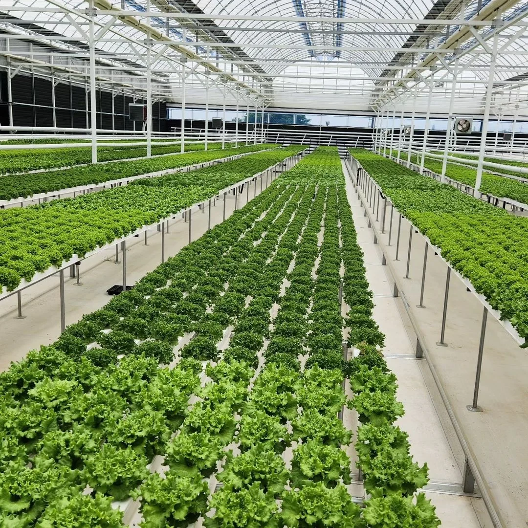 Square 100*50mm Openable PVC Trough NFT Channel Hydroponic Growing System Manufacturer