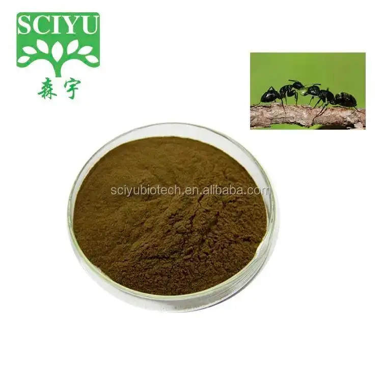 Food Grade Black Polyrachis Ants King Extract Solvent Extracted Herbal Ant Powder in Drum Packaging for Health Foods