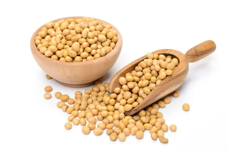 
Factory Bulk sale Non-GMO soybean extractd Phosphatidylserine 20% 50% 