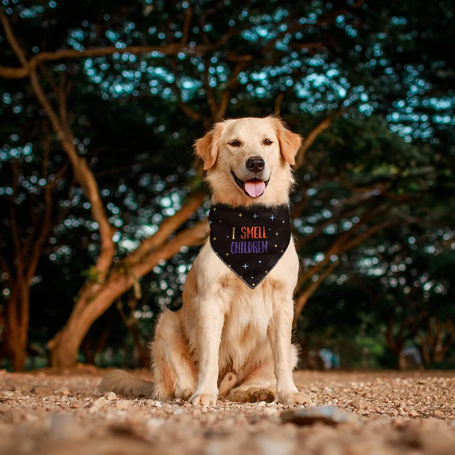 Eco-friendly Fabric Cotton Polyester Dog Bandana Holiday Patterns Custom with Logo Pet Bandanas