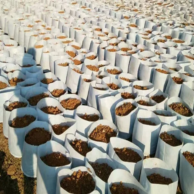 Fabric Grow Root Control Container Bag Felt Grow Bag Plant Pot for Gardening Supplies