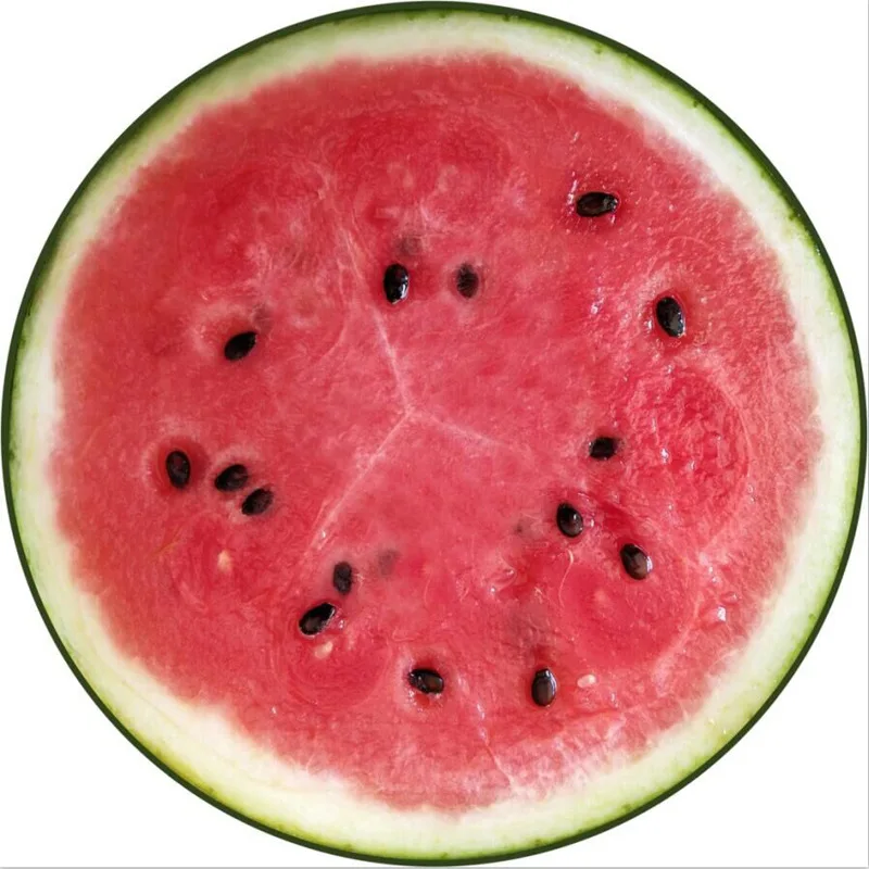 Hot Sale New 26 Cartoon Pattern Soft Comfortable Durable Plus Velvet Non-slip Wear Resistant Bite Resistant Washable Pet Dog Mat