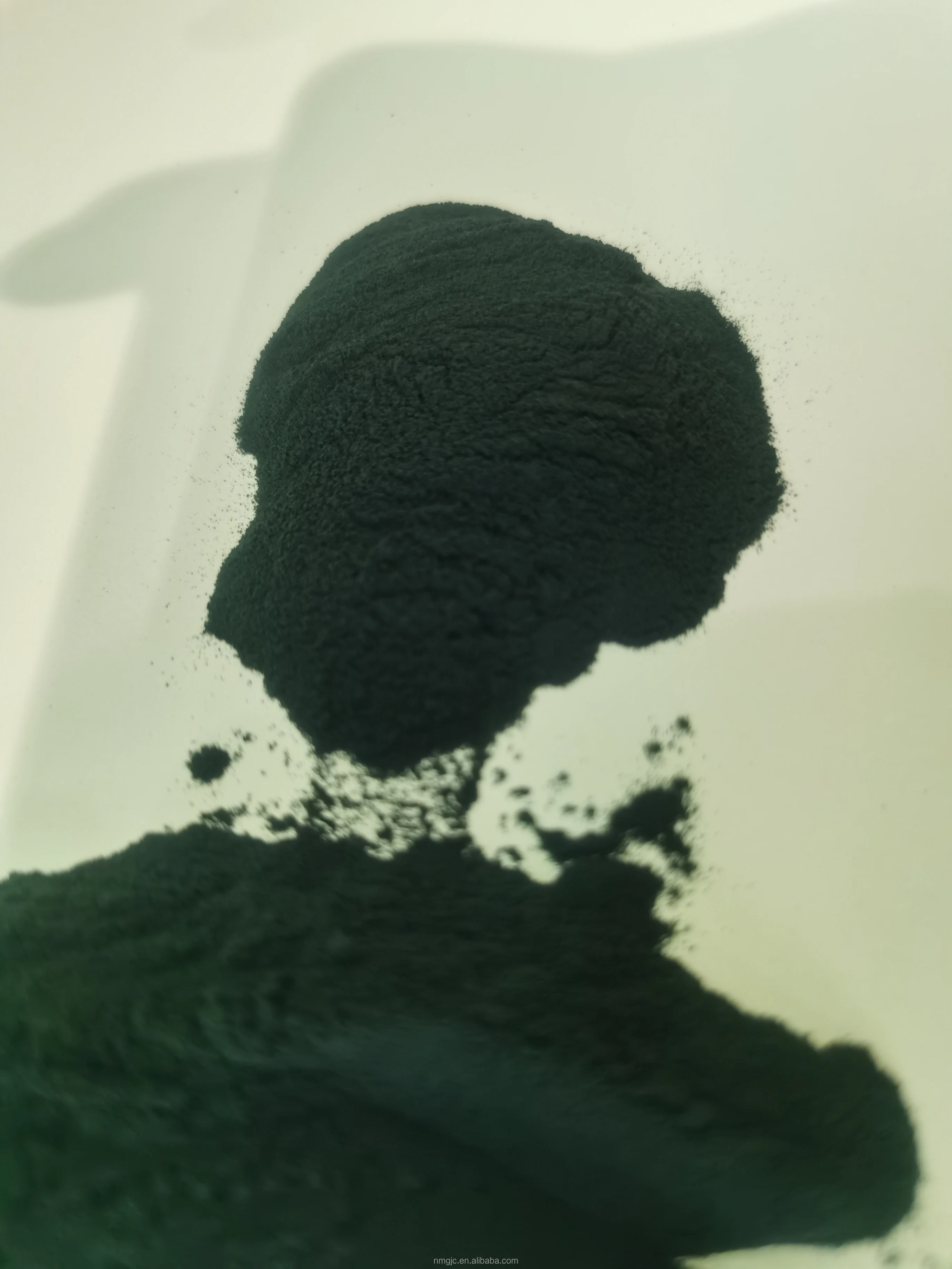 Wholesale Fresh spirulina Organic spirulina powder 100% Pure spirulina powder