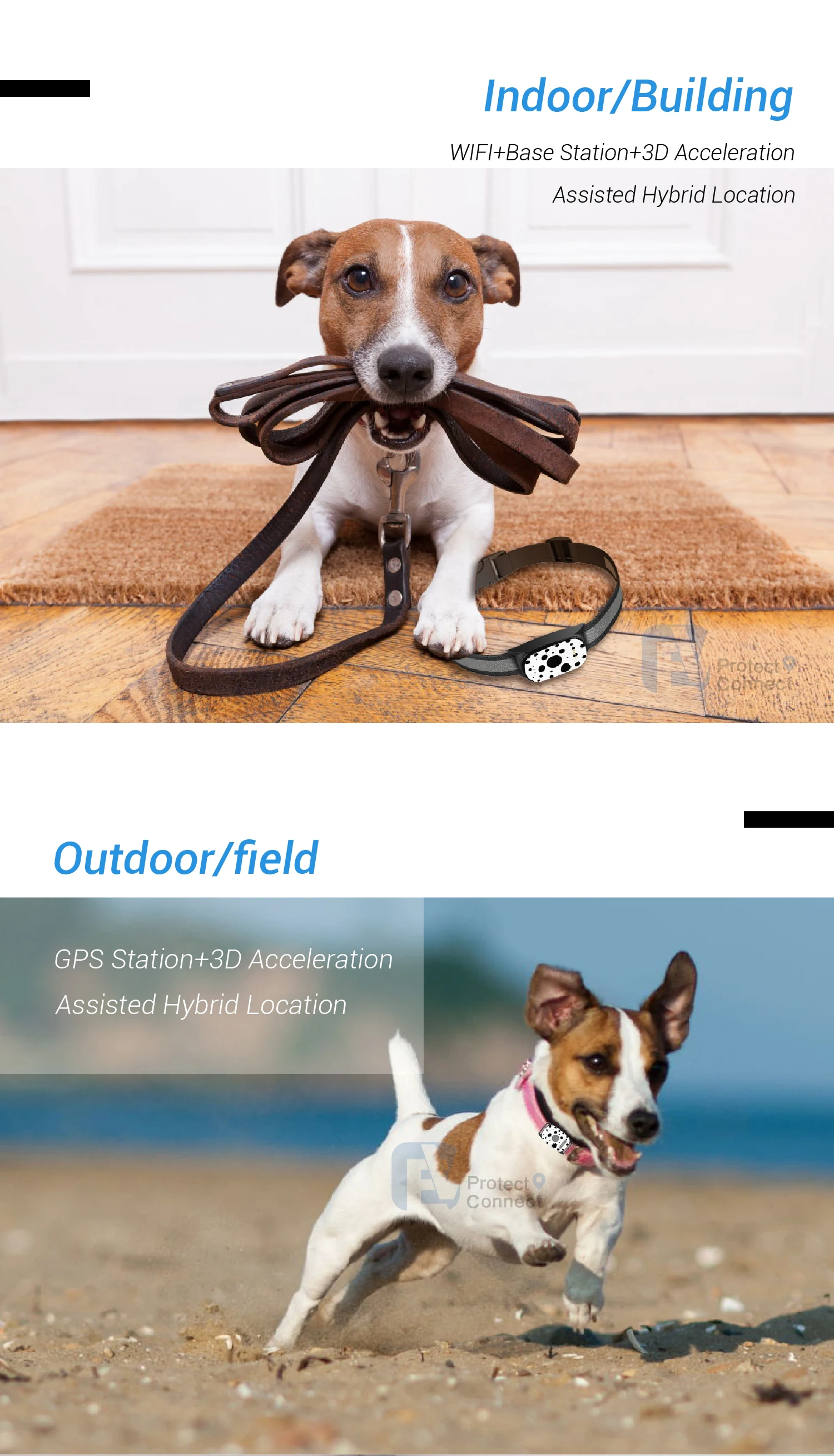 gps para mascotas