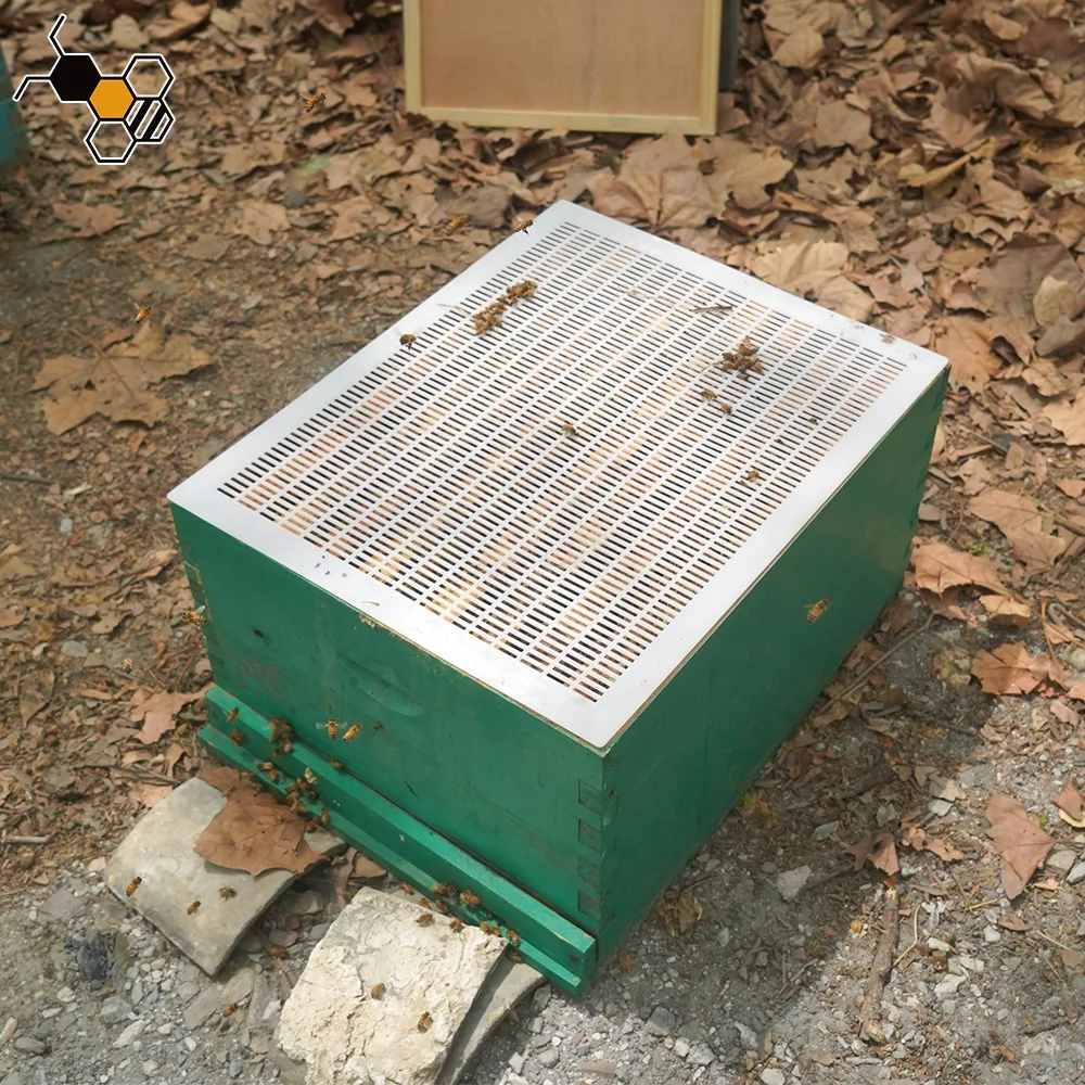 Bee Beekeeping Equipment Tools Material Excluidor De Plastico Queen Excluder Screen Plastic For Melifera