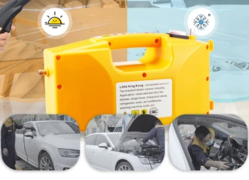 2600w 220v car upholstery cleaning high pressure machine for car wash Portable pressure steam cleaner
