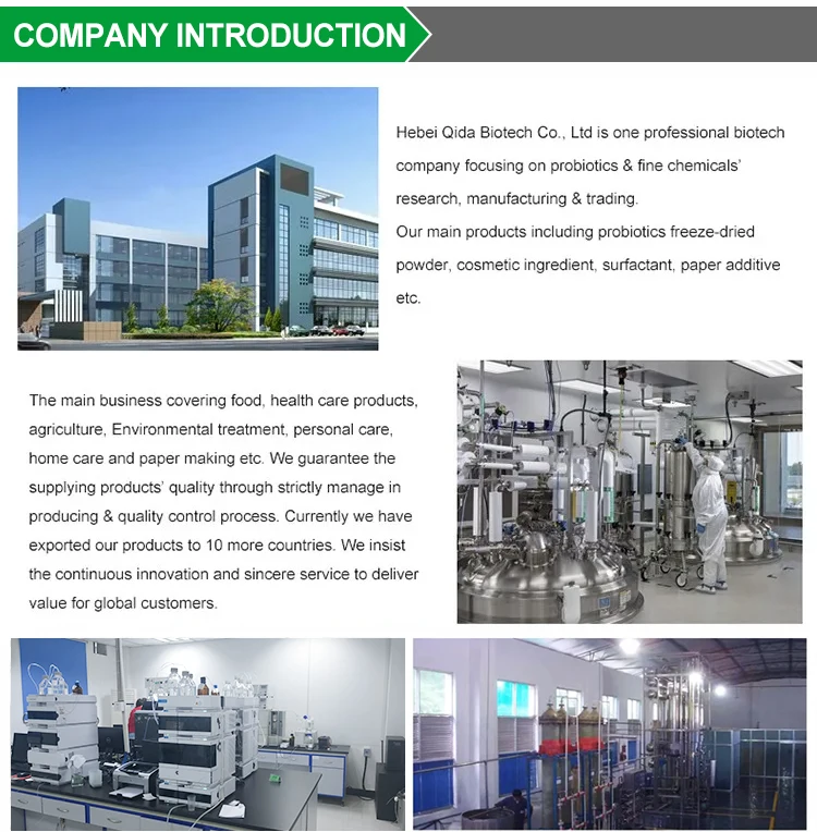 For Gut Health lactobacillus plantarum 600B Food Additives Manufacturers Probiot Lactobacillus Plantarum 200B CFU/g