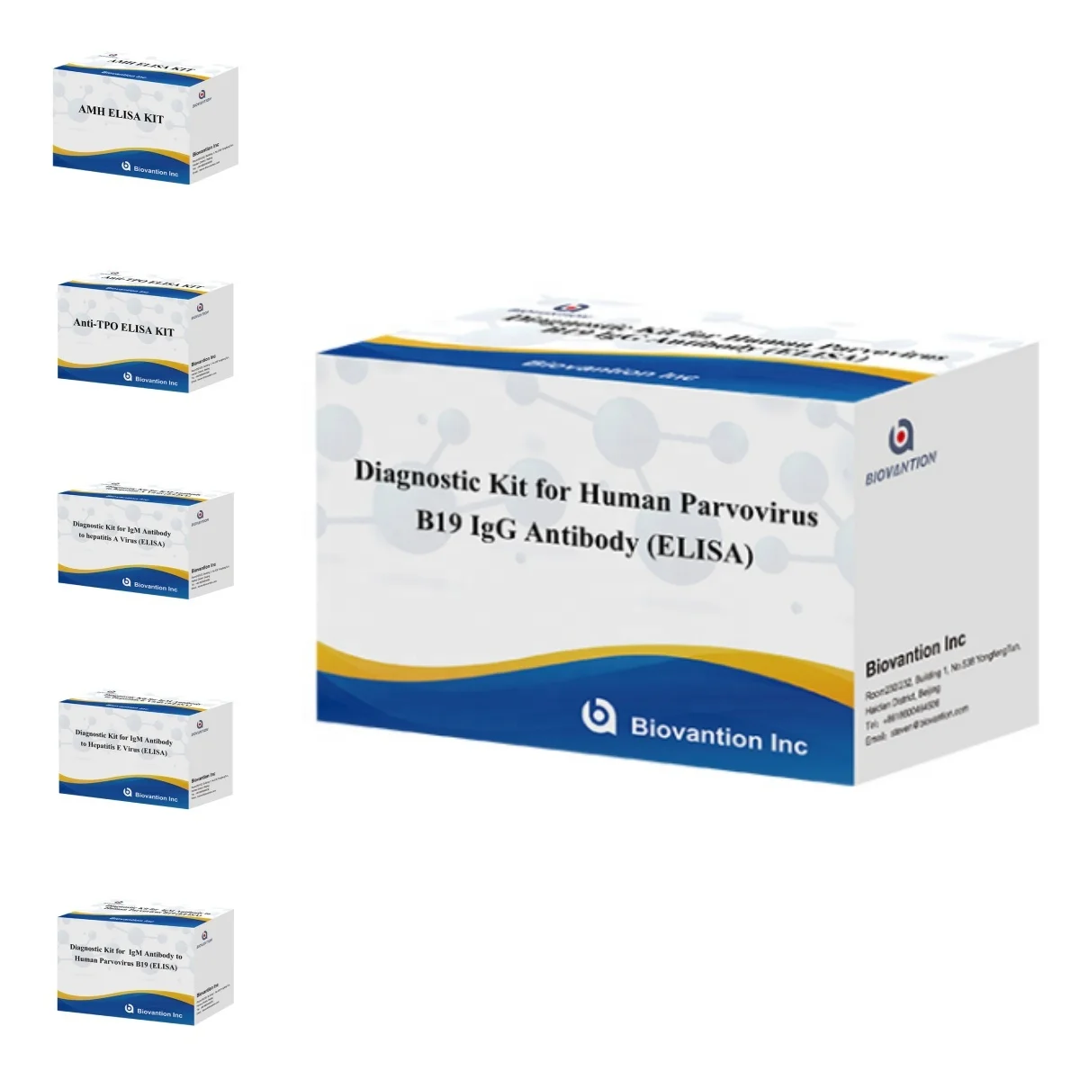 Elisa Diagnostic Kit for Human Parvovirus B19 IgM Antibody for hospital and lab