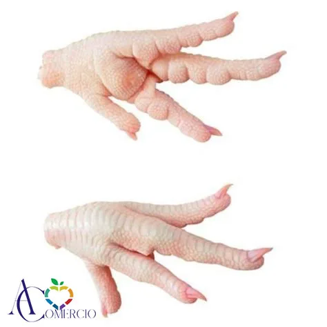 
Buy Quality Brazil Frozen Chicken Paws / Chicken Feet 