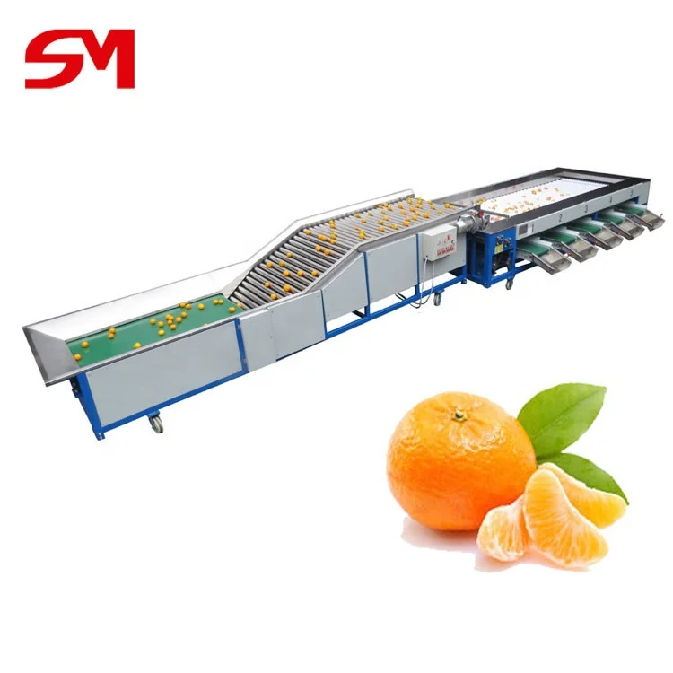High Efficient Most World Popular Frozen Cherry Tomatoes Sorting Machine