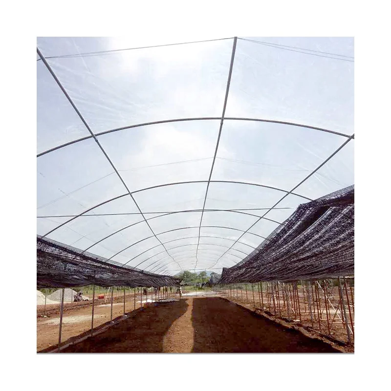 Сельскохозяйственные теплицы AGROTIME многопролетная теплица с холодной рамой строительный зеленый дом на