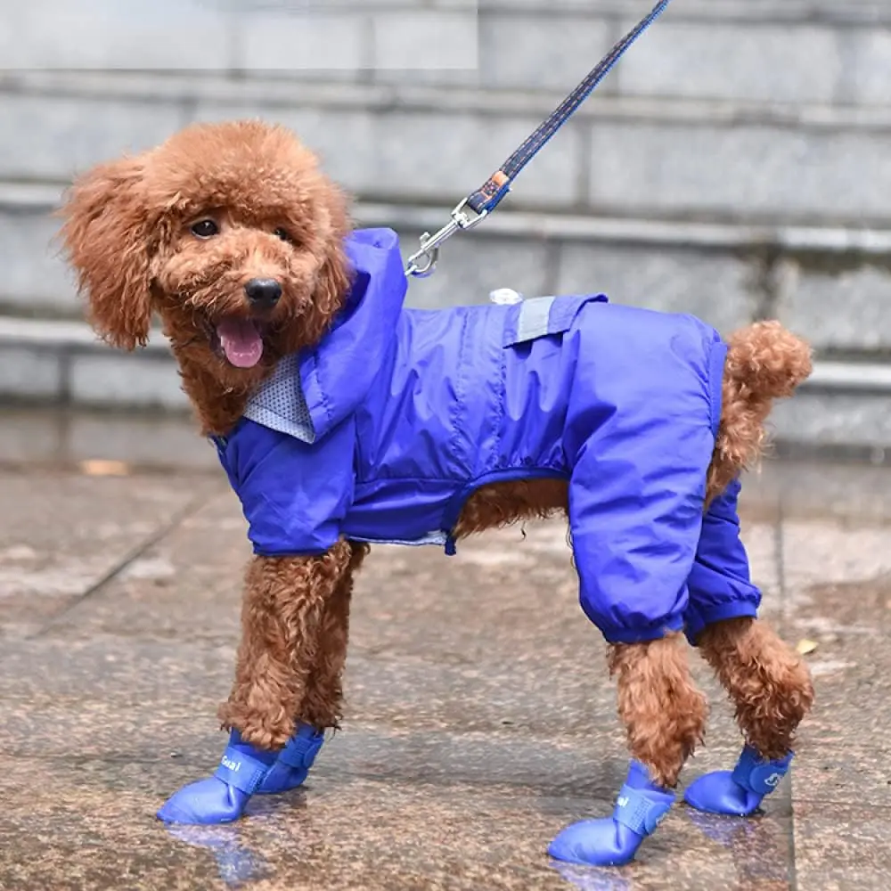 Colorful Waterproof Dog and Cat Shoes Luxury & Cute Anti-Slip Rubber Boots Comfortable Pet Rain Shoes