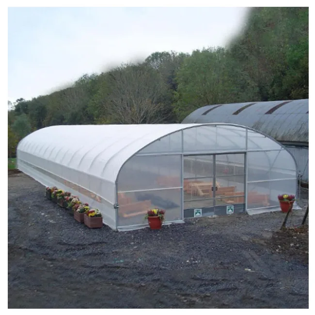 Розничная продажа с китайской фабрики однопролетные теплицы индивидуальная универсальная сельскохозяйственная теплица из политуннелей высоким