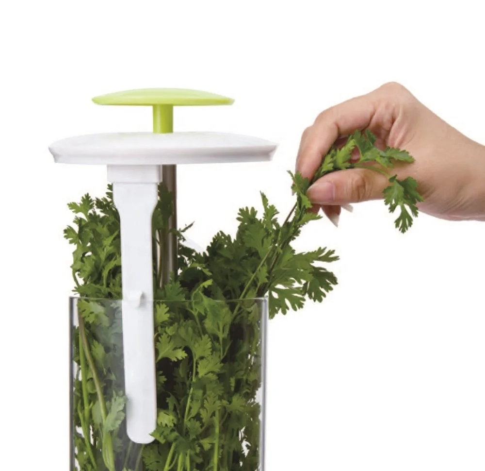 EK3 Herb growing Breatheable Glass Fresh Herb Keeper herbs storage jar