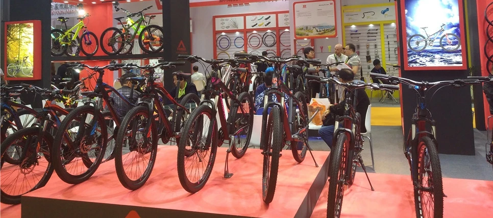 20MT18SH12 20-Inch Steel Free Style Adult BMX Bike Single Speed Disc Brake for Street Riding