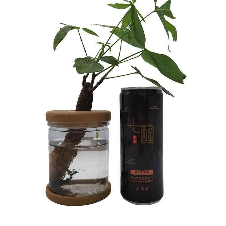 
Attractive Energy Drink Private Label Natural Robust Booster Energy Drinks 
