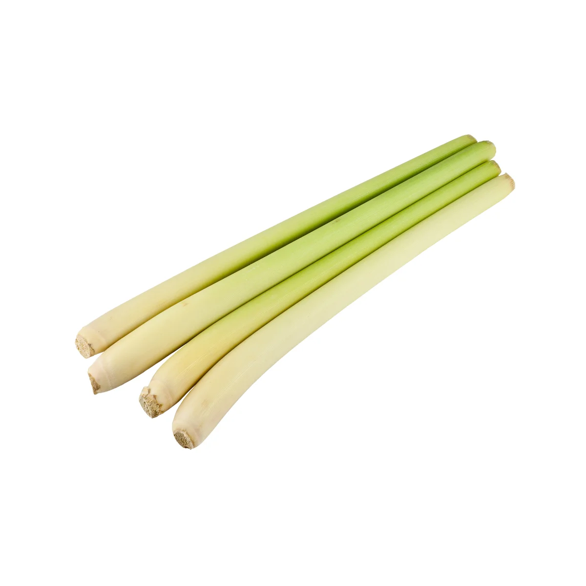 Lemongrass High Quality Competitive Price Made In Vietnamese Manufacturer 100% Pure Naturally For Cooking