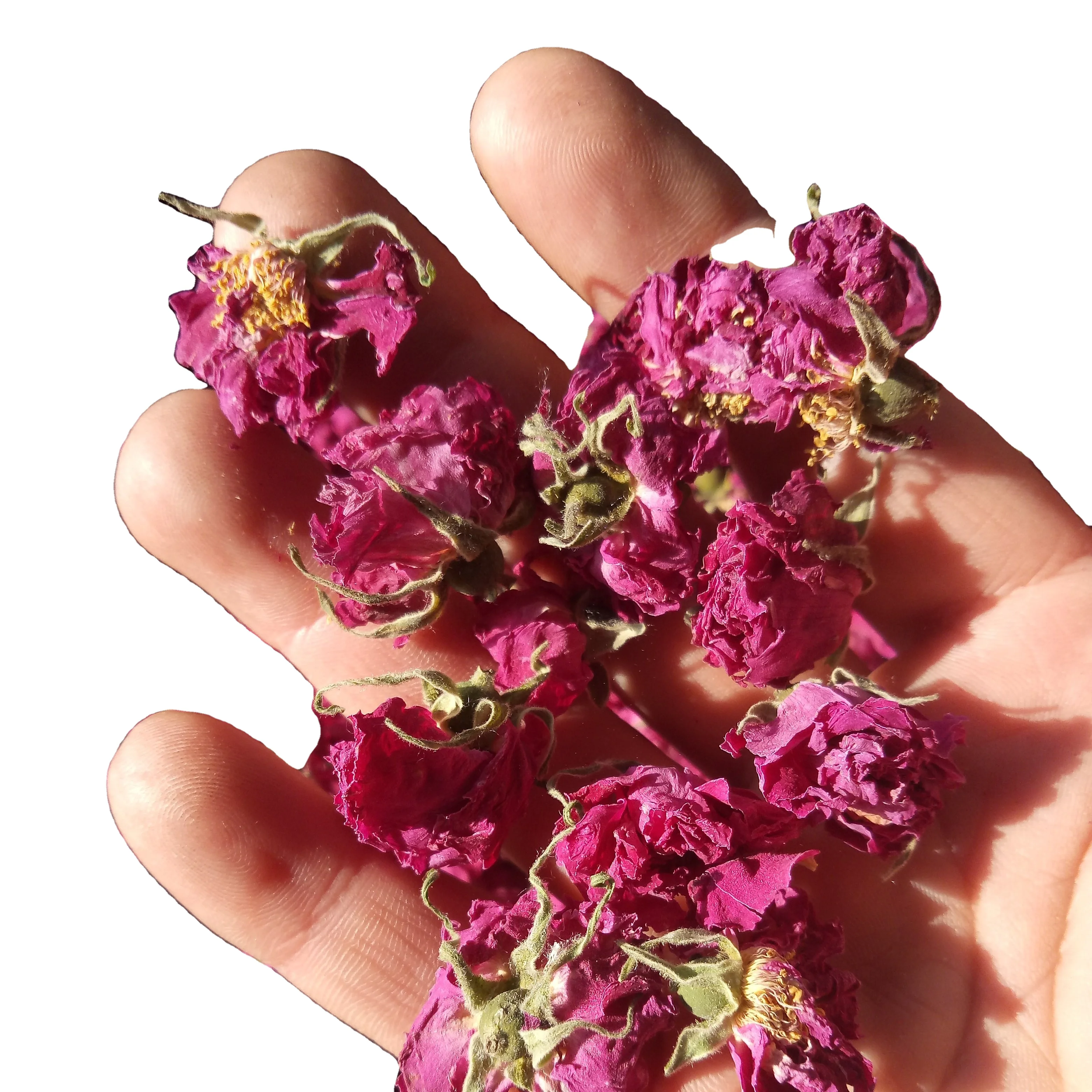 Pingyin розы маленький meigui Shandong полностью высушенные цветы чай