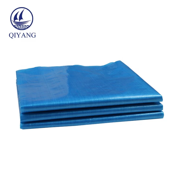 Waterproof Transparent Clear Mesh Tarp Tent Plastic Tarpaulin Roll Sheet