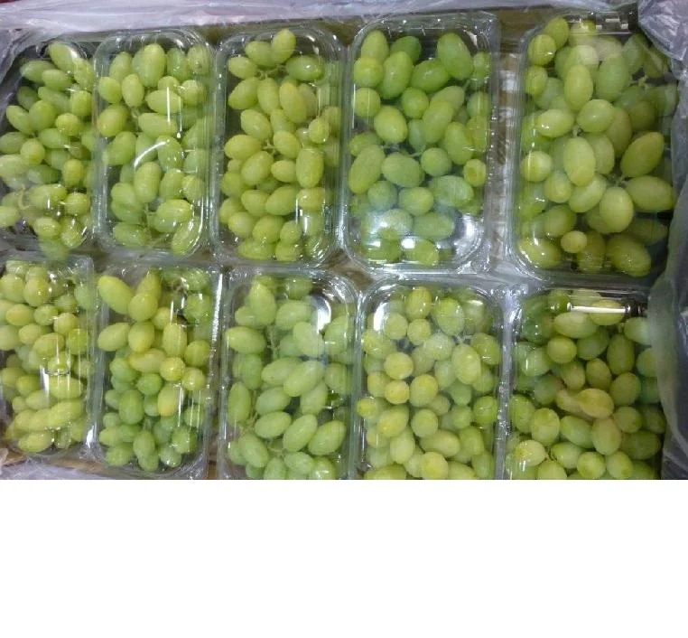 
Fresh Grapes Seedless, Grapes with Seeds- In Stock, Best Quality and Price 