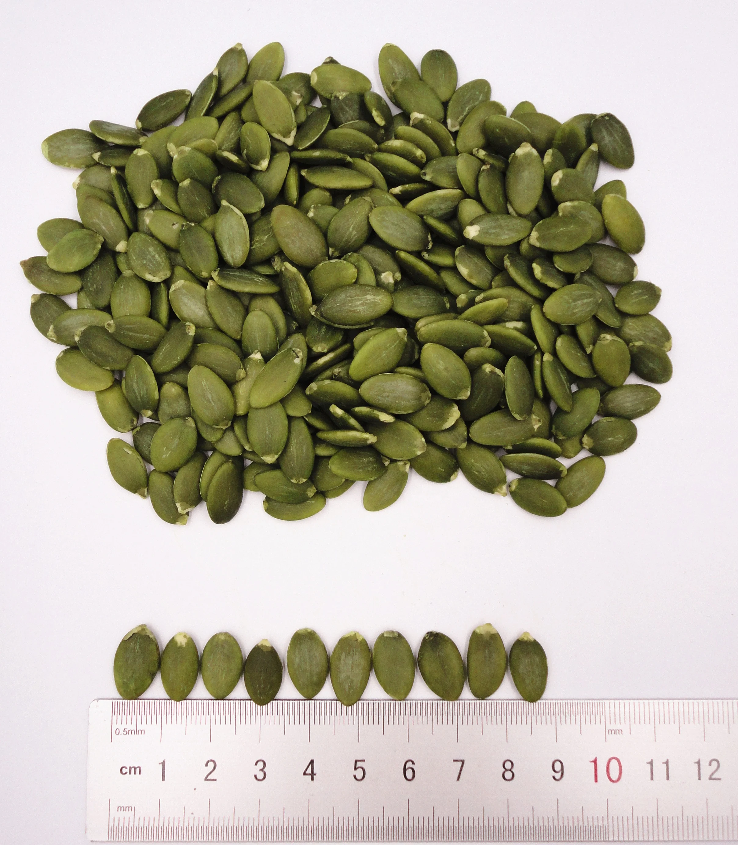 Hot sale premium shine skin pumpkin seeds