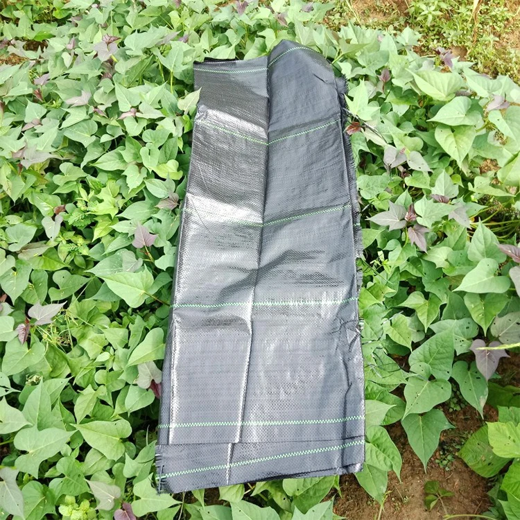 Пользовательские биоразлагаемые Blueberry Ground Cover сельское хозяйство пластиковая мульча пленка