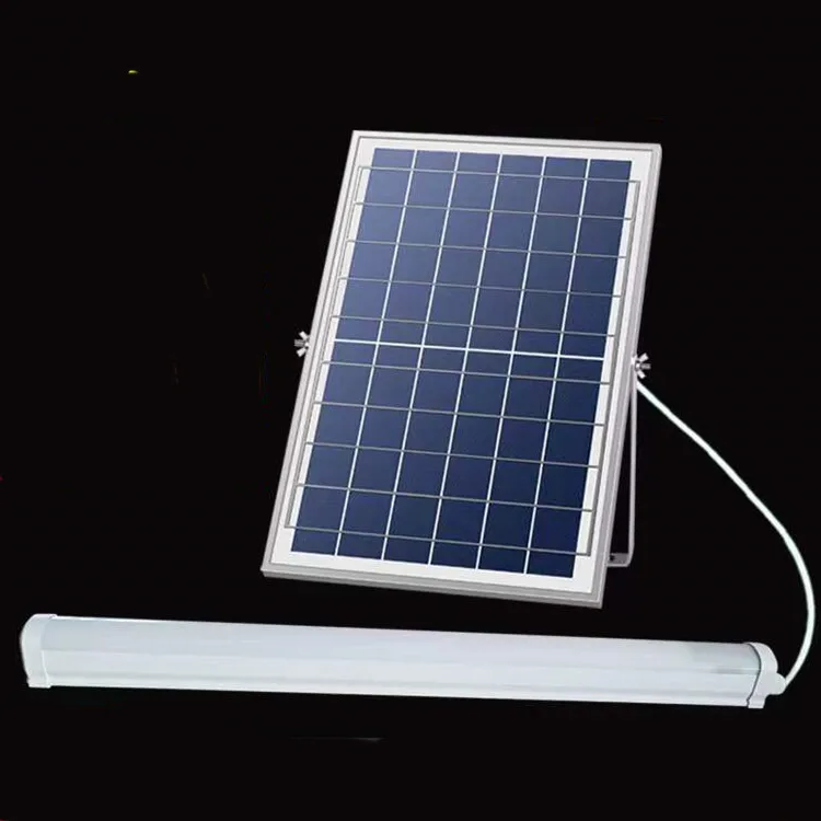 Hot Sale China Professional 6V 12V Solar led lights