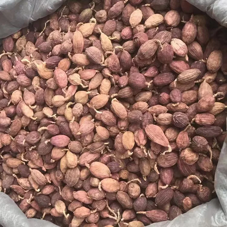 Wholesale Special  Seasoning Dried  Black Cardamom Seeds/Cardamom/Dry Cardamon