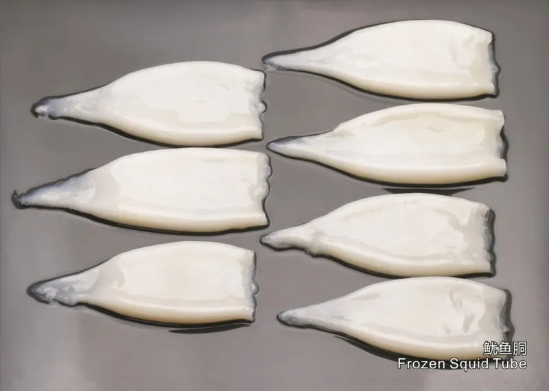 Frozen Squid Tube.jpg