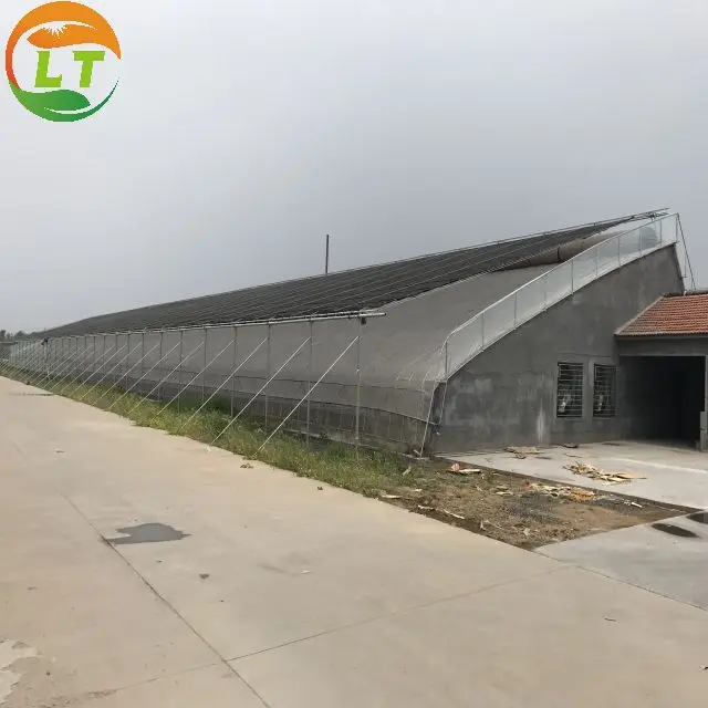 New patented  greenhouse hot dip galvanized  use heating equipment for any soil