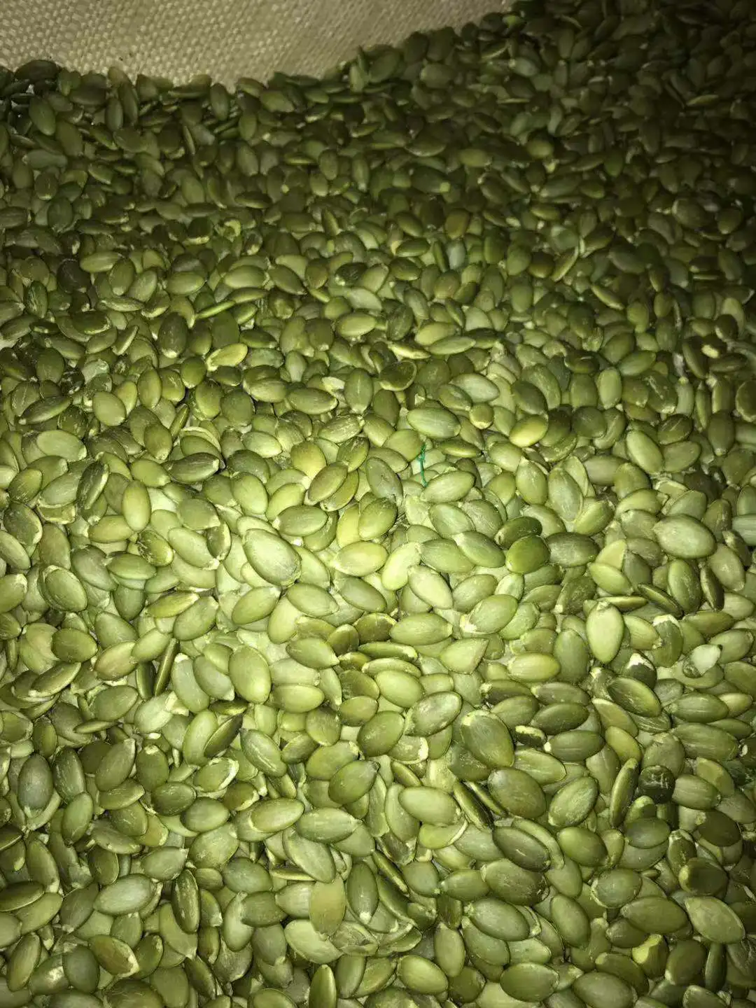 
new crop shine skin pumpkin seeds kernels 