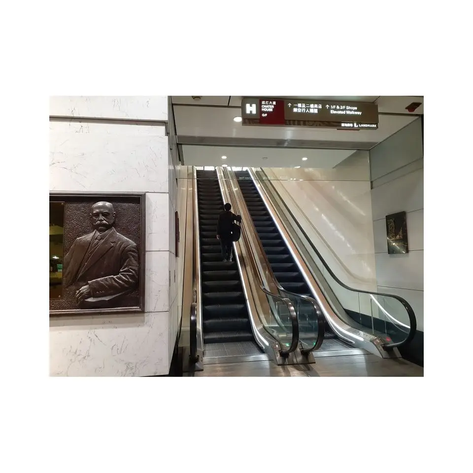 Cheap Residential Lift Outdoor Durable Design Escalators Manual Black Elevator