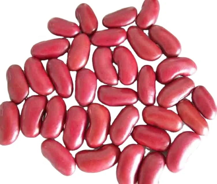 Chinese canned dark red kidney beans in brine with high quality