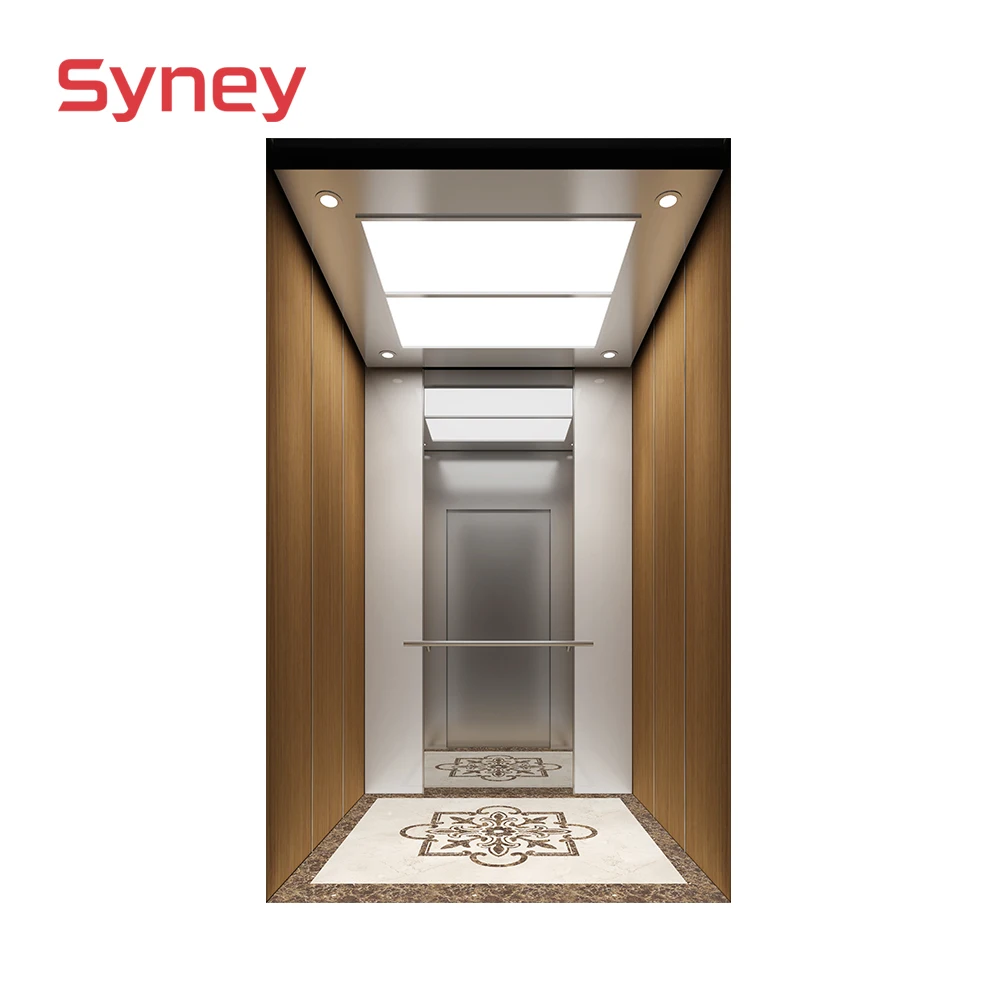 Residential Home Elevator Safety Lift Panoramic Glass Large Capacity Customized Passenger Elevator