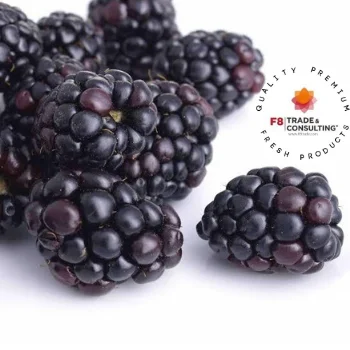 
 Органические и свежие черные ягоды  