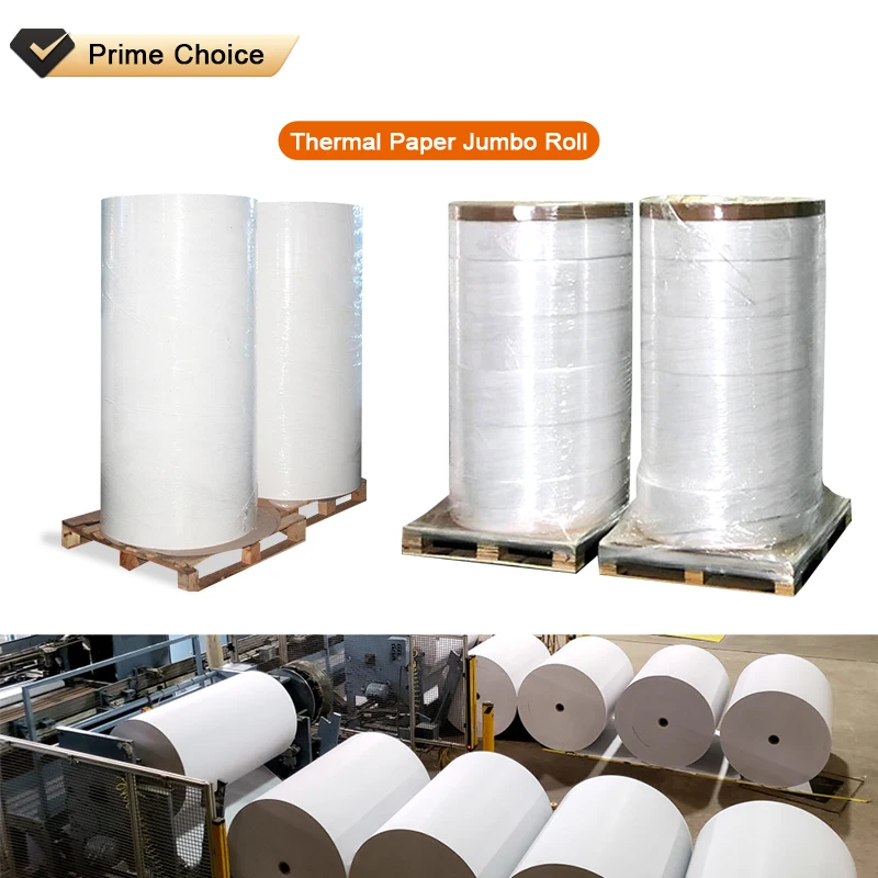 Wholesale Popular Size 3-1/8 x 230 Thermal Receipt Paper Rolls Cash Register Thermal Paper With High Quality