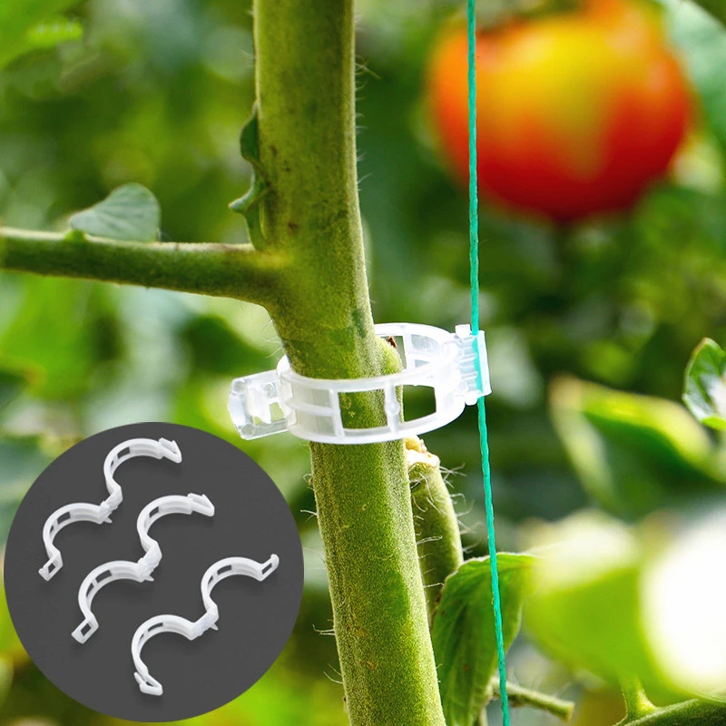 Free Sample Biodegradable PLA Tomato Plant Lock Clips For Fixed Tomato Vine