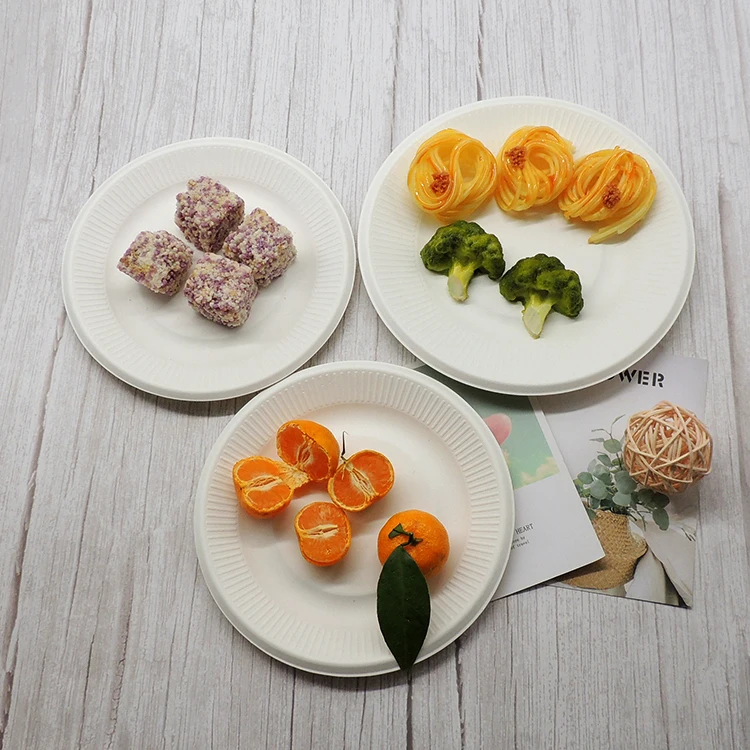 100% Eco-friendly Printed Disposable Paper Plates for Birthday Party