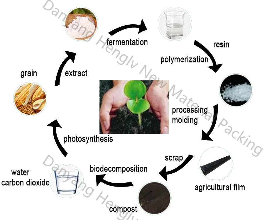 HENGLV Factory Wholesale Supply Compostable And Degradable Plastic Agricultural Film PLA PBAT Mulch