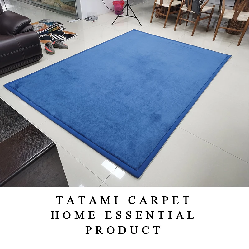 2021 Factory Wholesale Tatami Super Soft Coral Fleece Kidsroom thicker Memory Foam Tatami Area Rugs Carpets for House
