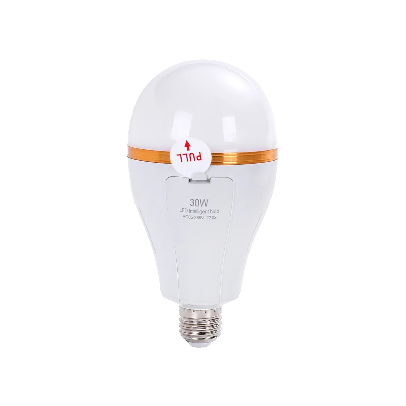 Newest 2022 Portable Battery Led Light Bulb 15w 20w 30w Emergency Charging Bulb