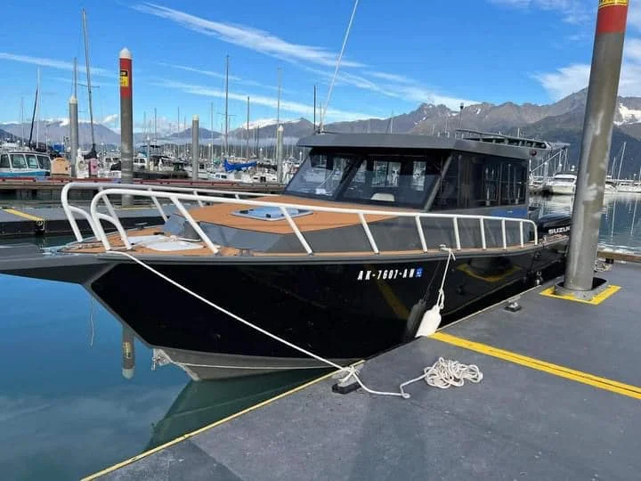 Sea King Sea Fishing Boat New Design 9m-11m Aluminum Plate Lifestyle Boat