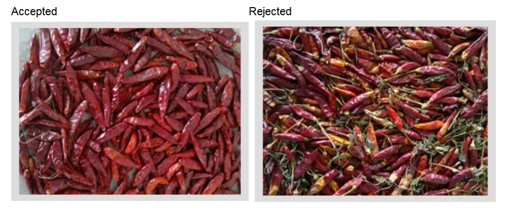 
Advanced new chili color sorting machine 