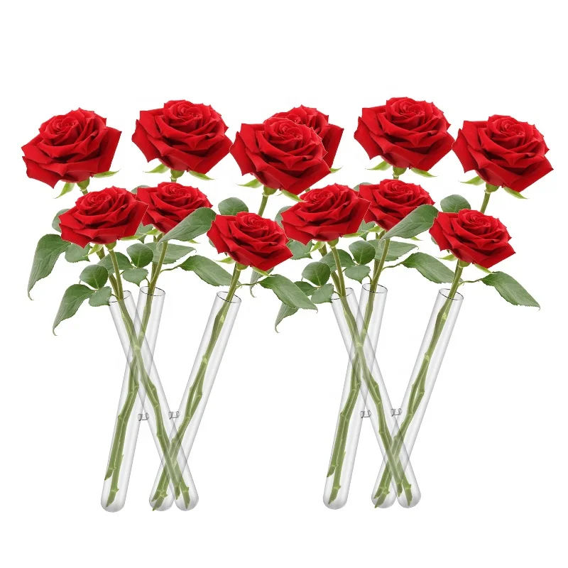 3 Stem Tripod  Glass Vase Flower Holder Centerpiece Stand Tube Vase Bud vases