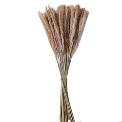 Natural Dried Pampas Grass Small Artificial Flower for Wedding decoration and home Festival Bouquet arrangement Fluffy Reed