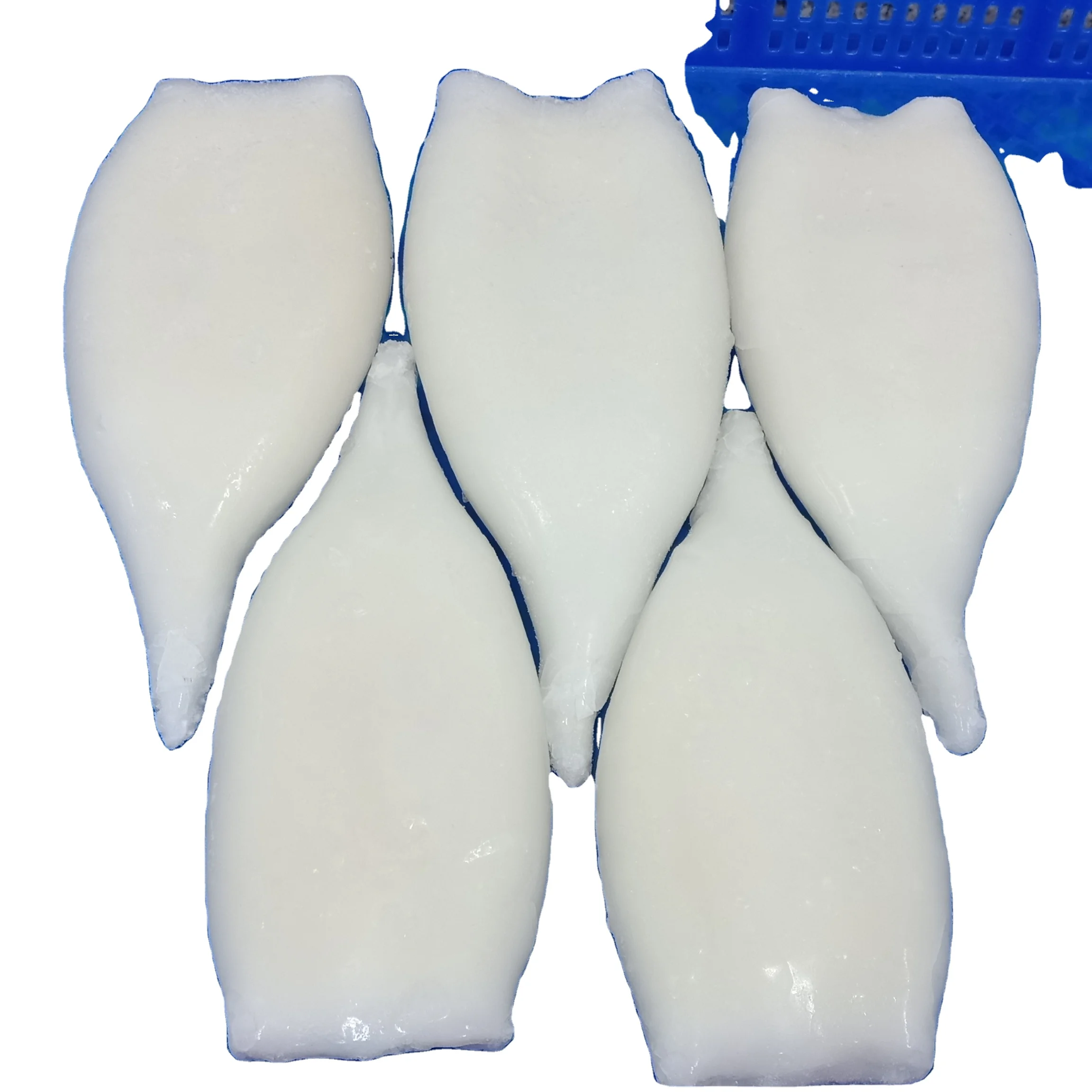 China Seafood Export Squid Tube skinless frozen squid tubes